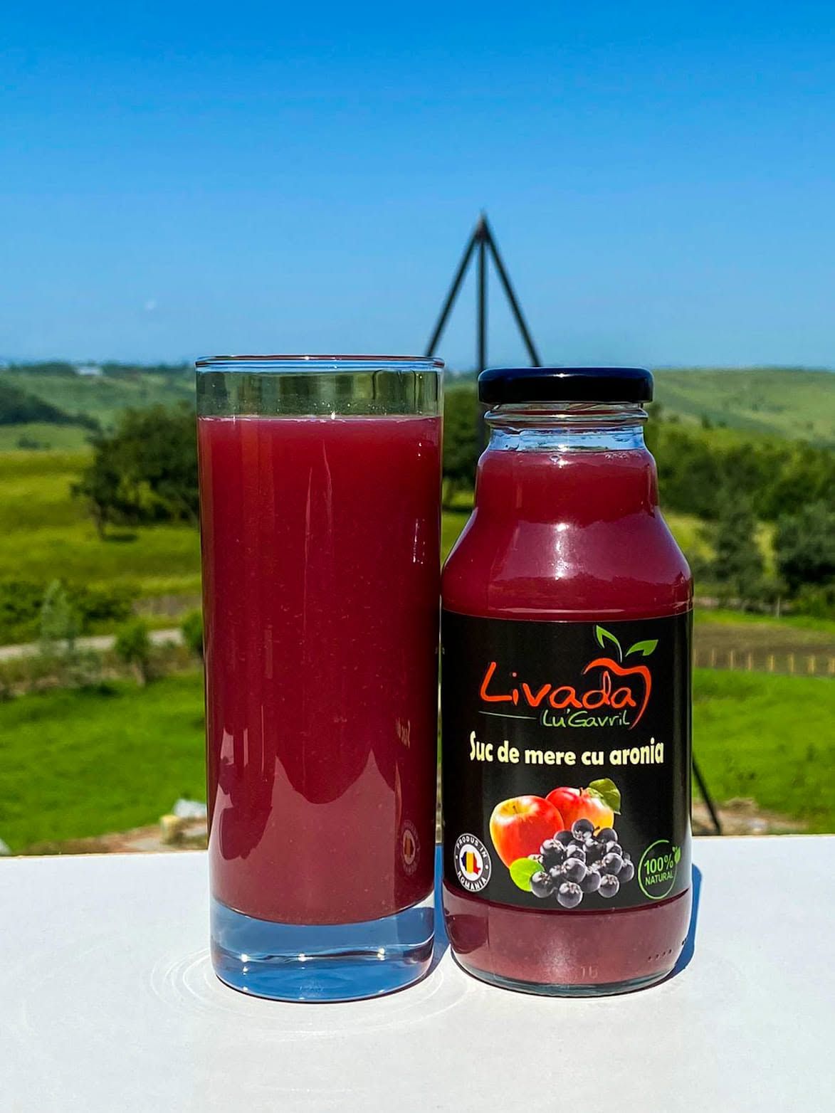 Sticlă și pahar cu suc de mere cu aronia