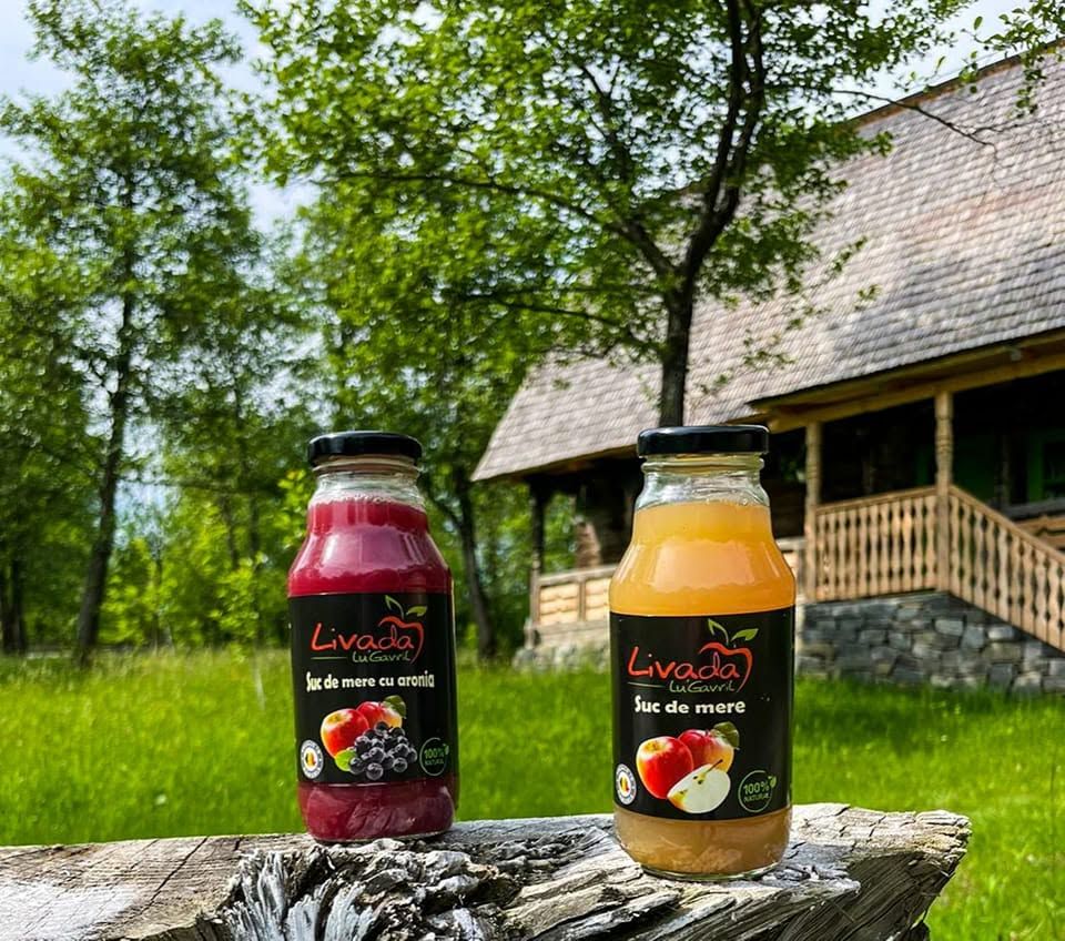 Sticle de suc de mere și mere cu aronia în fața unei case de lemn